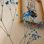Irem 아파트호텔