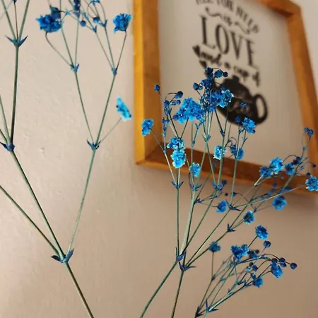 Irem Hotel de apartamente