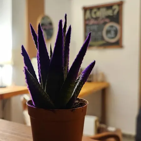 Appart hôtel Irem Marmaris