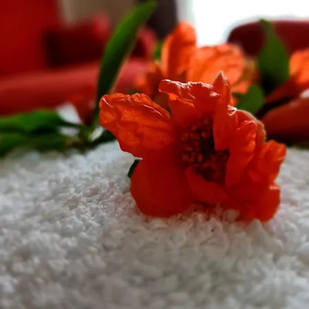 Irem Мармарис